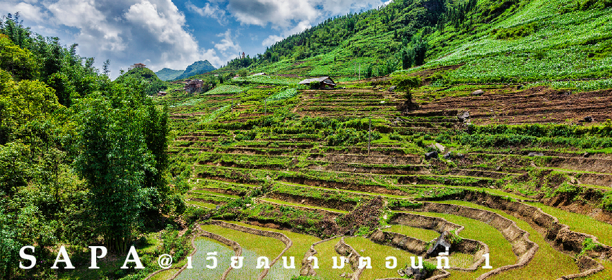 SAPA 1 SAPA 1