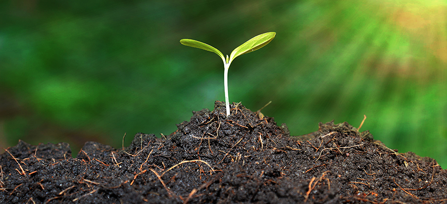 Is your soil up to the challenge? Is your soil up to the challenge?